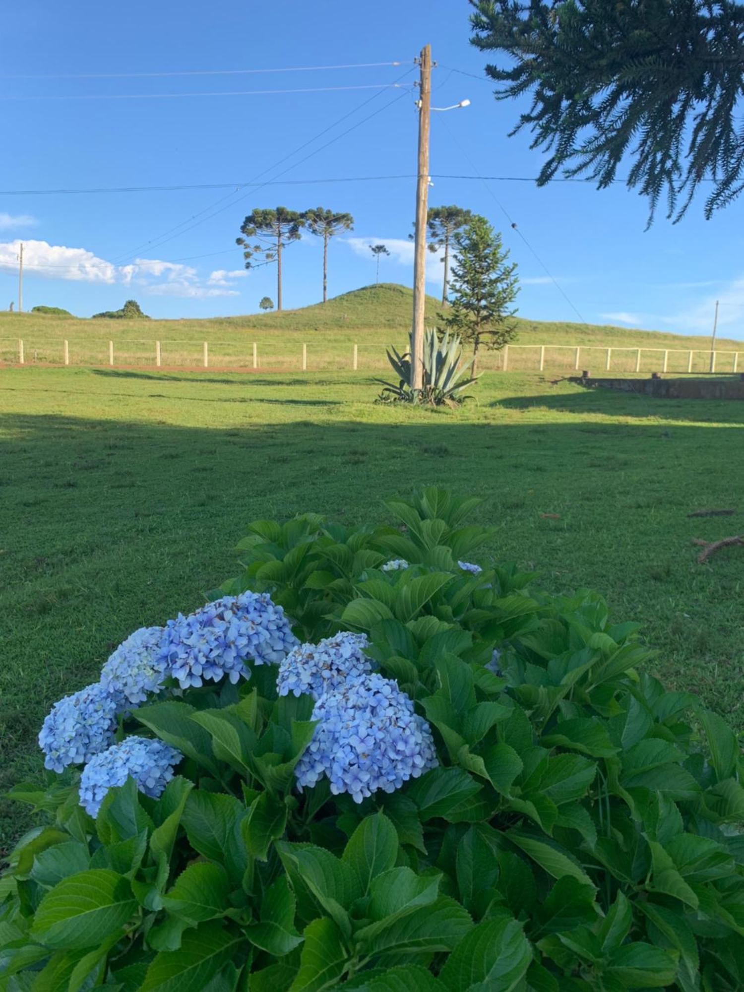 Pousada Fazenda Paim Sao Jose dos Ausentes Esterno foto