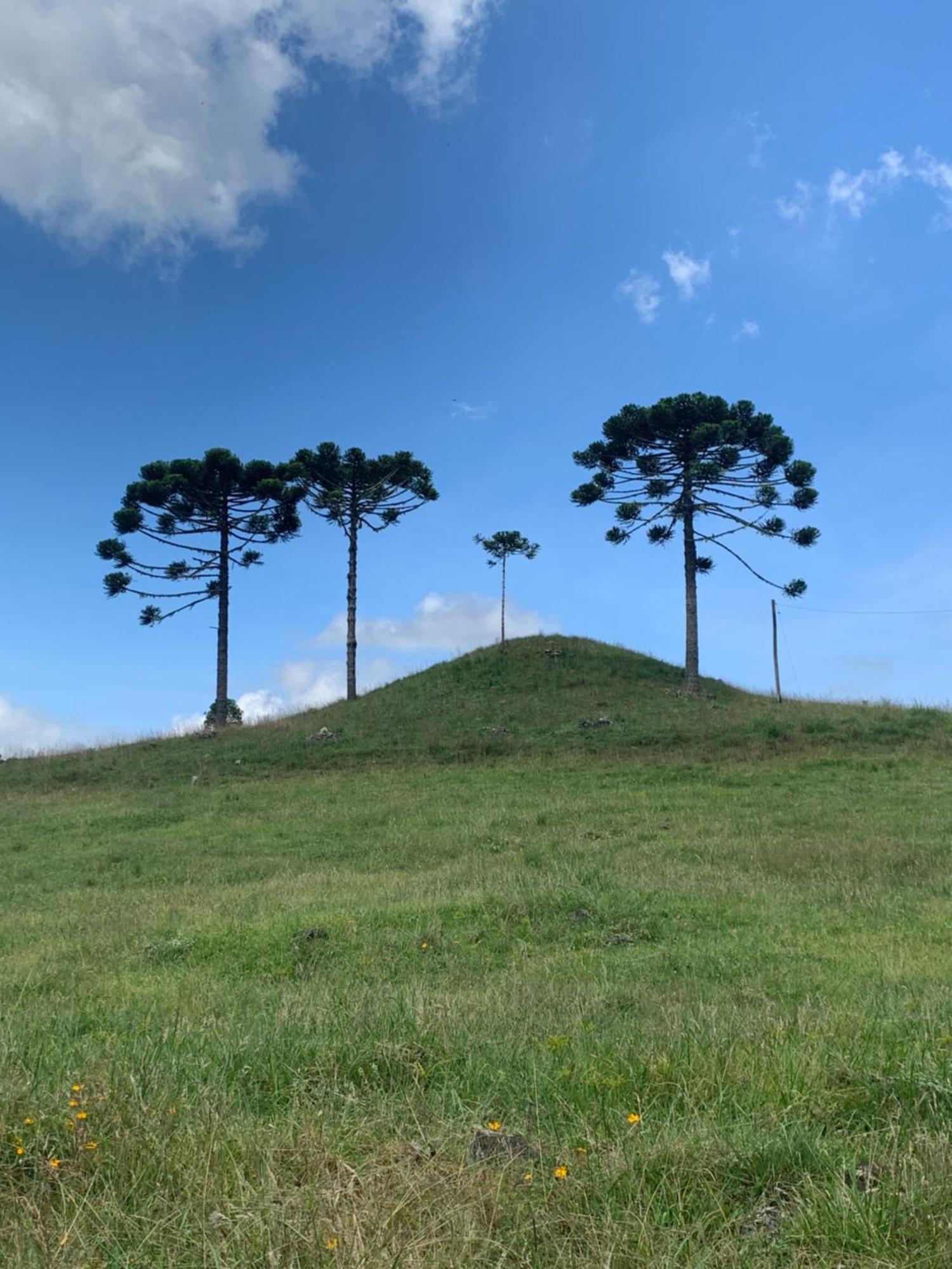 Pousada Fazenda Paim Sao Jose dos Ausentes Esterno foto